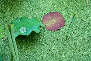 《木卫四协议》怪物特写图公开 下周公布消息